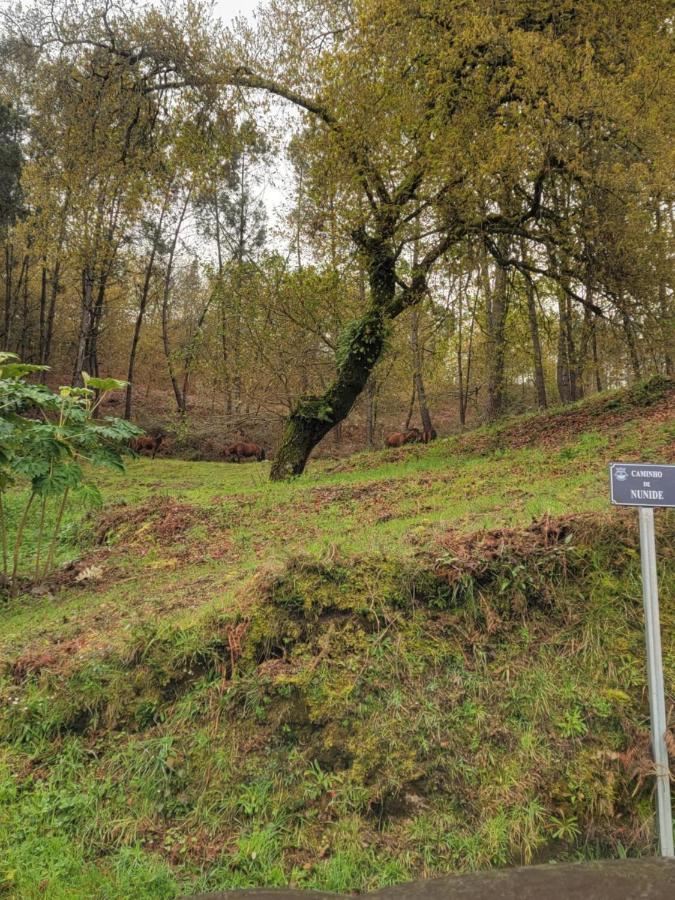 Quinta Da Picouta Villa Arcos de Valdevez Eksteriør bilde